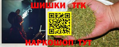 прущие грибы Ставрополь