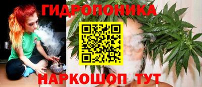 прущие грибы Ставрополь