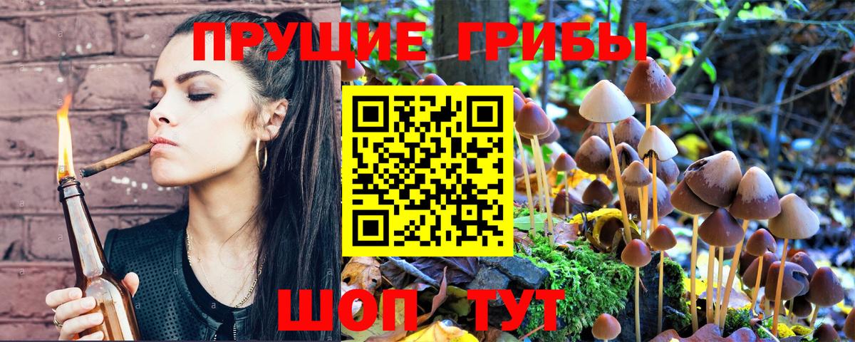 Омск  Галлюциногенные грибы ЛСД  Вход с VPN  Псилоцибиновые грибы MAGIC MUSHROOMS 