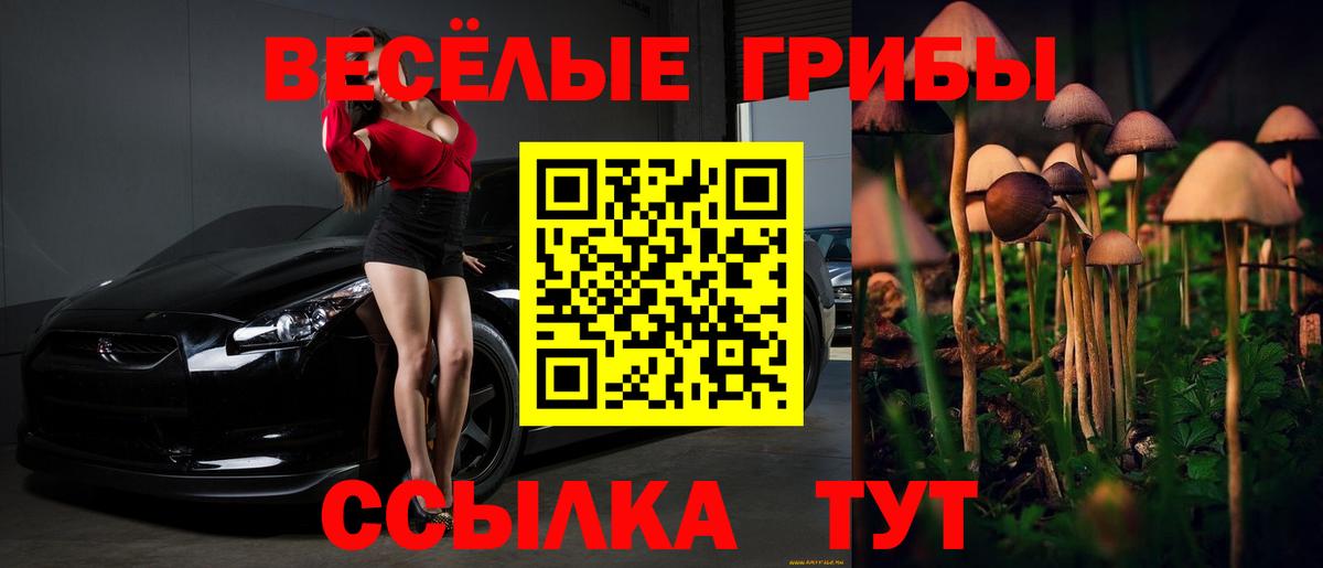Галлюциногенные грибы Psilocybine cubensis Омск